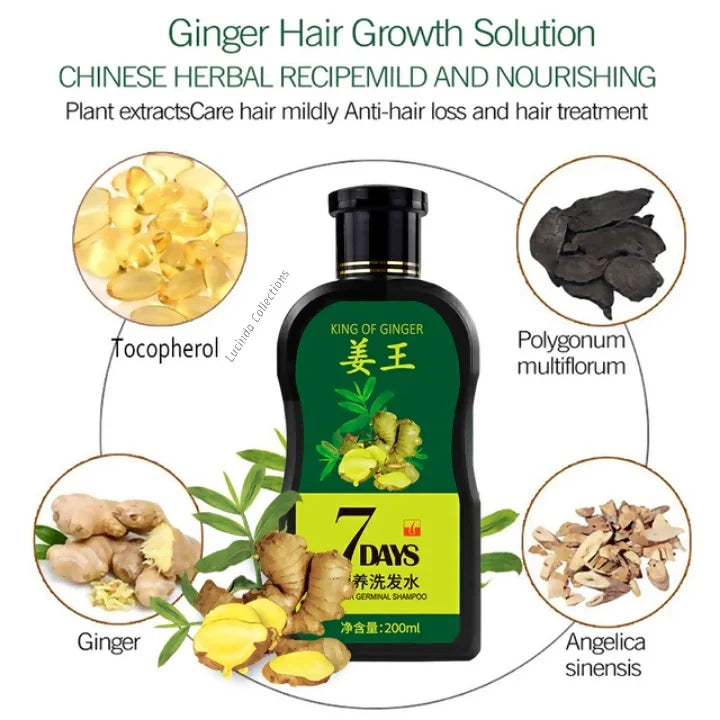 Oil + Shampoo - King Of Ginger 7 Days Ginger Germinal Hair Growth