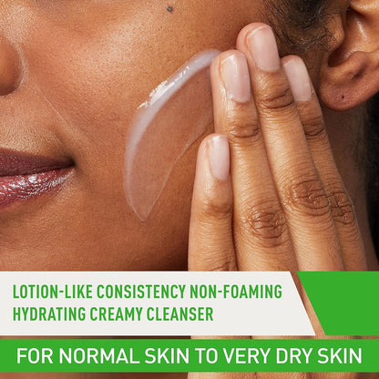 eraVe Hydrating Facial Cleanser Cleanser